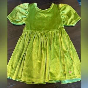 Pink Chicken Velvet Dress in Olive Green